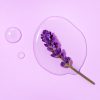 11TH WISH – K BEAUTY, SKINCARE, SKIN CARE, CUIDADO PARA LA PIEL, RUTINA DE LIMPIEZA, AMOR US,
